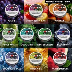 yoone pouches 9mg(mint) mixed package(buy 5 get 5 free)7 mint 3 fruits