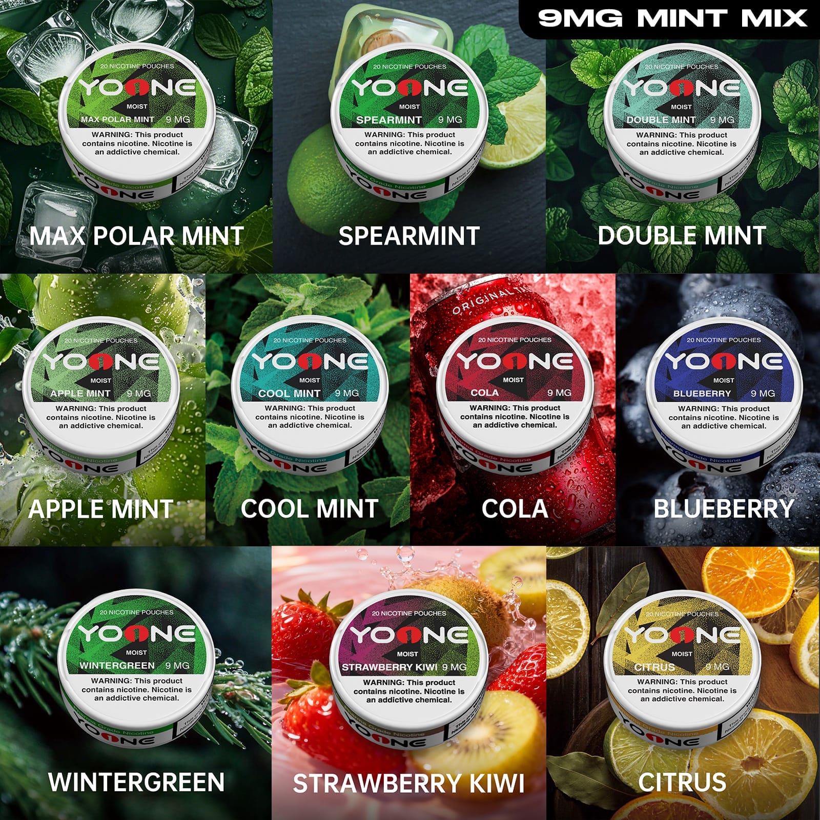yoone pouches 9mg(mint) mixed package(buy 5 get 5 free)7 mint 3 fruits