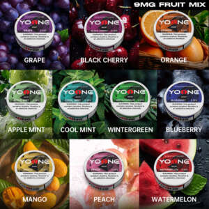 yoone pouches 9mg(fruit) mixed package(buy 5 get 5 free)7 fruits 3 mint