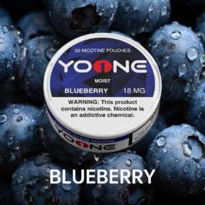 yoone blueberry 18mg(moisture)