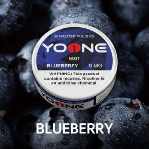 yoone blueberry 9mg (moist)