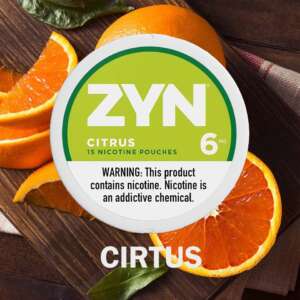 zyn spearmint nicotine pouches 6mg