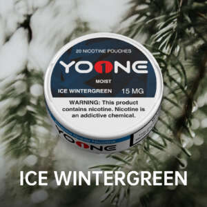 yoone ice wintergreen 15mg (moist)