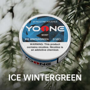 yoone ice wintergreen 9mg (moist)