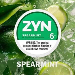 zyn spearmint nicotine pouches 6mg