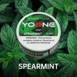 yoone spearmint 9mg (moisture)