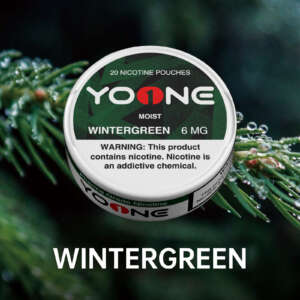 yoone wintergreen 6mg (moisture)