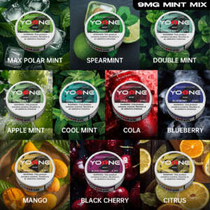 yoone pouches 9mg(mint) mixed package(buy 5 get 5 free)7 mint 3 fruits