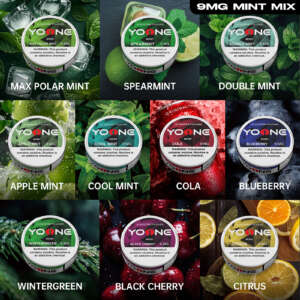 yoone pouches 9mg(fruit) mixed package(buy 5 get 5 free)7 fruits 3 mint